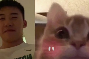 评论区猜测关系被否认！女网友晒遮脸合拍🥰王俊杰笑得很羞涩啊